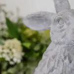 22 (1)
