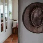 5 (3)
