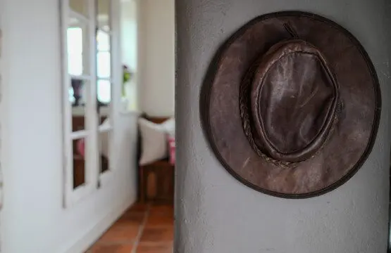 5 (3)