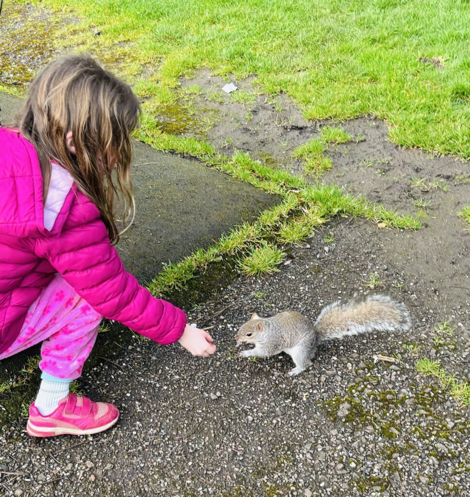 Squirrels 1 1