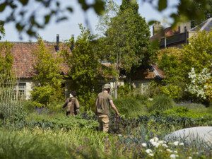 Tom Ross, MD, The Pig, The Pig Hotels, Bath